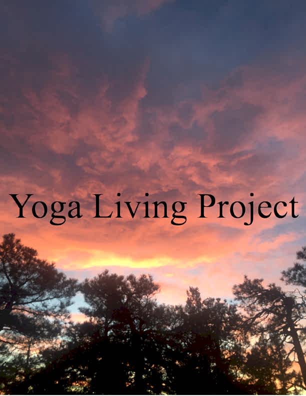 A Yin Class w/ Austin Richman